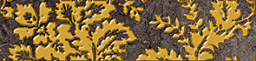 Бордюр коричневый (DG1C111) 6х25